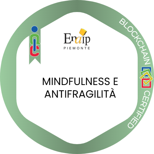 Badge pubblico 78908